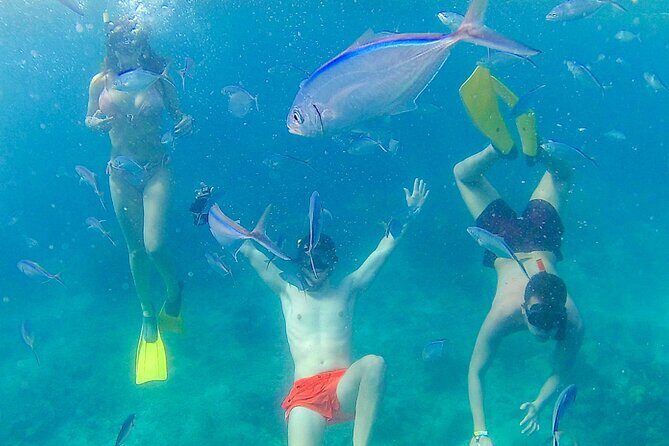 Catalina Island with Altos de Chavon - Full Day All Inclusive - Lunch, drinks, and the beach bar rhythm