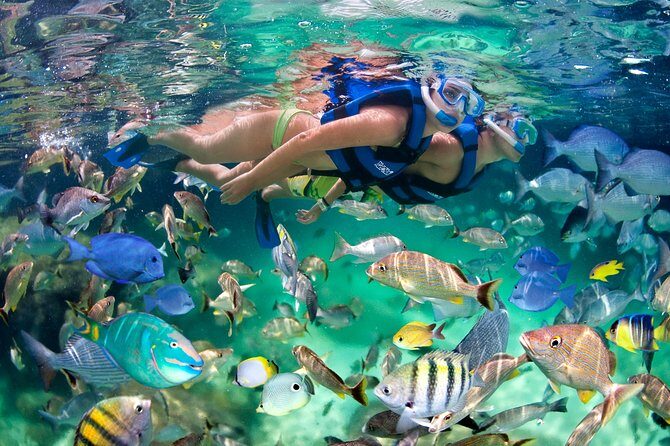 Catamaran Cruise with Snorkeling & Parasailing - Parasailing Over the Shoreline: High Views, Included Gear, and Weather Limits