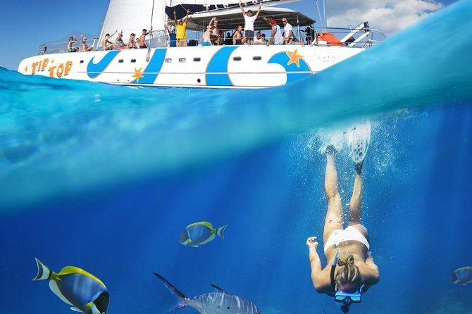 Catamaran Snorkeling All-Inclusive Day-Trip - Puerto Plata Catamaran Day Trip: what you’re signing up for