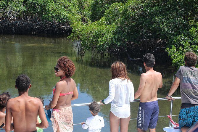 Cayo Arena Catamaran Cruise from Puerto Plata with Lunch - Onboard the Catamaran: Drinks, Crew Energy, and the Photo Factor