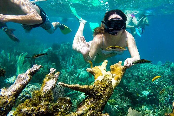 Cayo Arena Day Trip from Puerto Plata - Lunch and beverages: one less thing to plan