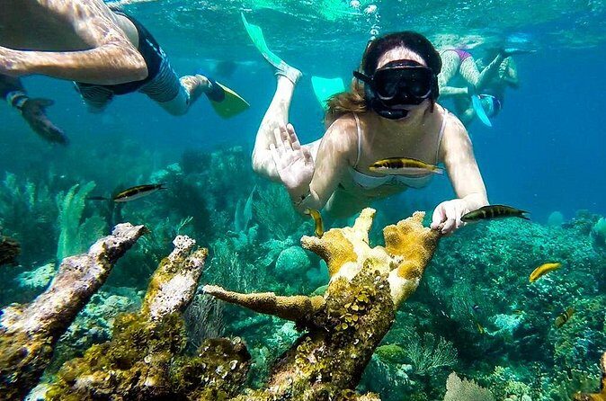 Cayo Arena Day Trip from Puerto Plata - The return to Puerto Plata: wrap-up without stress