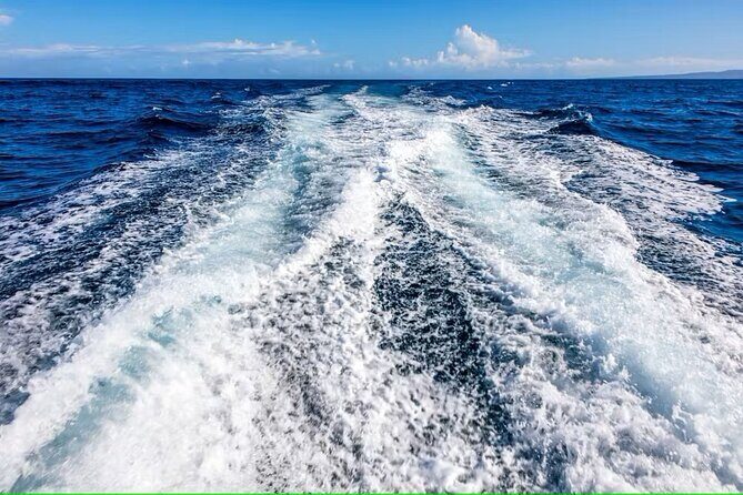 Cayo Arena Exclusive Tour with Lunch - The catamaran cruise to Paradise Island: more than just transportation