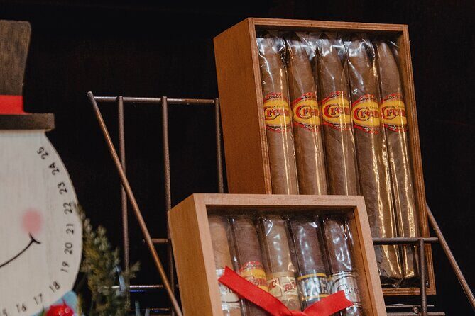 Cigar Factory Tour in Puerto Plata - The guide-led rolling lesson: from tobacco to a finished cigar