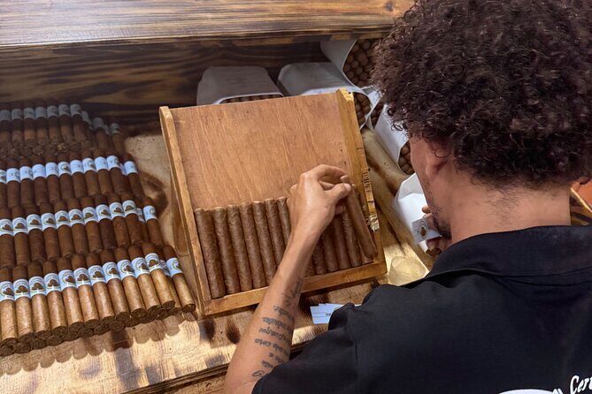 Cigar Factory Tour in Puerto Plata - Puerto Plata logistics: meeting point, hours, and timing