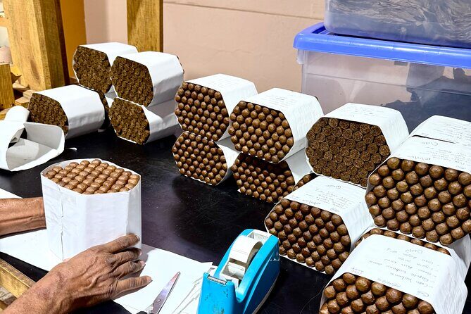 Cigar Factory Tour in Puerto Plata - How far in advance to book (and why)