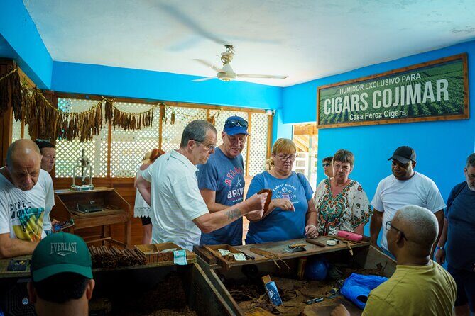 City Tour & Half-Day Safari Experiences - Tropical fruit tasting and photo time