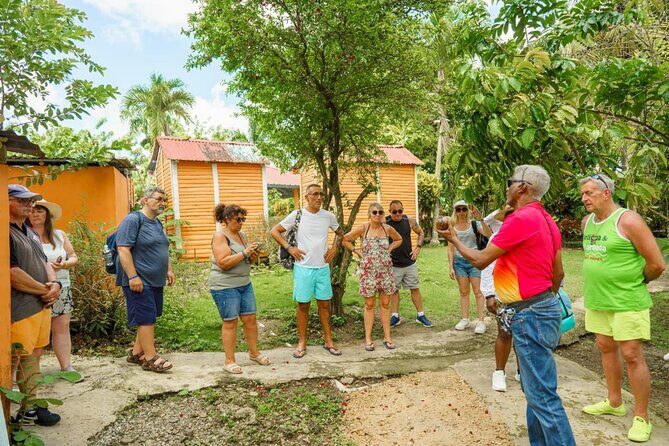 City Tour & Half-Day Safari Experiences - Timing, comfort, and what to pack for a 5-hour day