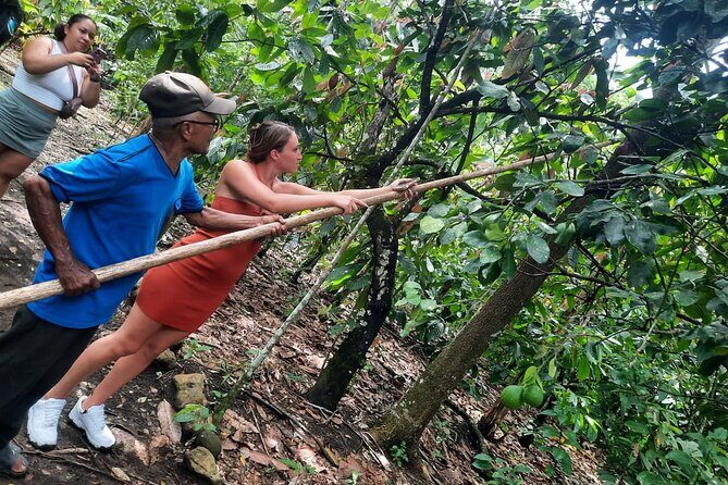 Cocoa & Artisan Chocolate Route with an Historical Tour in Puerto Plata City - Cocoa & Artisan Chocolate: Key Things to Know First