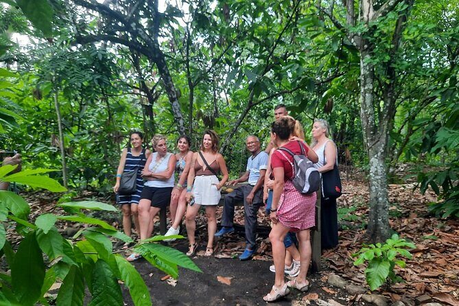 Cocoa & Artisan Chocolate Route with an Historical Tour in Puerto Plata City - Chocolate Facial Therapy: A Fun Stop With a Practical Twist