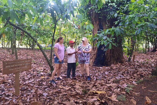 Cocoa & Artisan Chocolate Route with an Historical Tour in Puerto Plata City - The Cocoa Path Walk: Understanding Why Cacao Matters Here