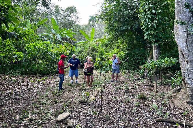 Cocoa & Artisan Chocolate Route with an Historical Tour in Puerto Plata City - Lunch and What You’ll Get to Eat