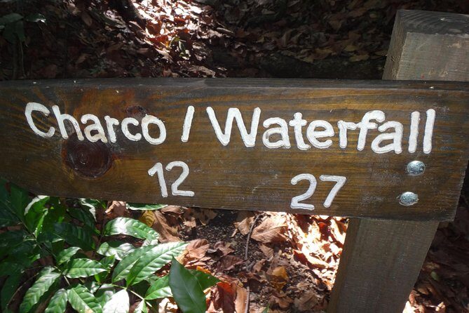 Damajagua Waterfalls for Cruise Ship Passengers - Waiting, delays, and the one thing you can’t control