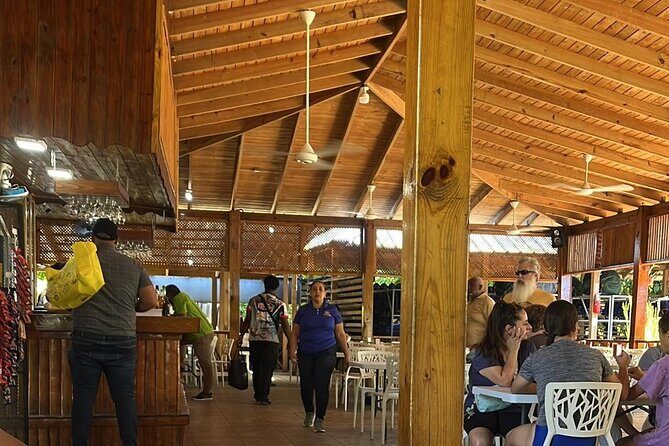 Damajagua Waterfalls Private Tour with Lunch - Inside the Damajagua River: what to expect at the first 7 waterfalls