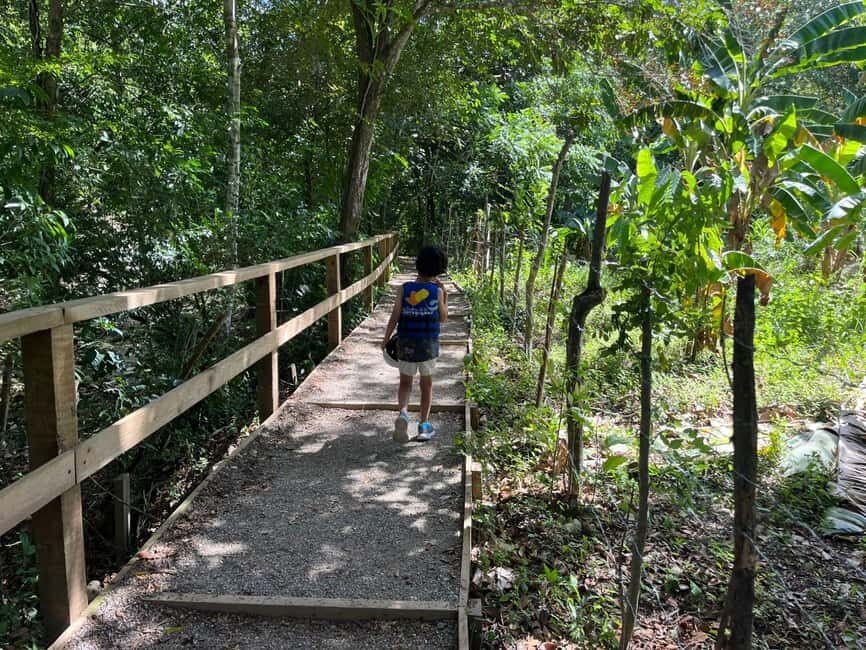 Damajagua Waterfalls Tour with Lunch - Should You Book Damajagua Waterfalls With Lunch?