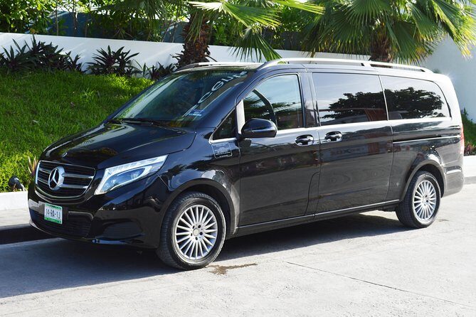 Departure Luxury Transportation: Hotels to Punta Cana International Airport(1-5) - What Happens After You Book: Voucher, Mobile Ticket, and Flight Info