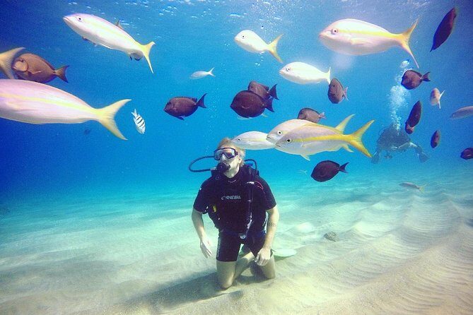 Discover Scuba Diving - Key things that make this intro work
