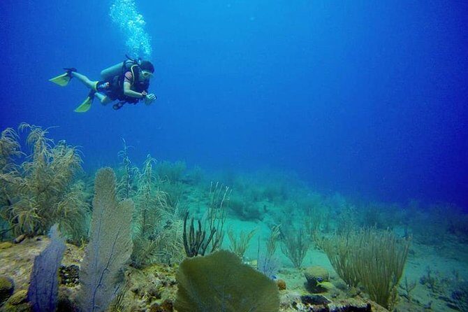 Discover Scuba Diving - The Elena boat and Captain Domingo: a short cruise with the right expectations