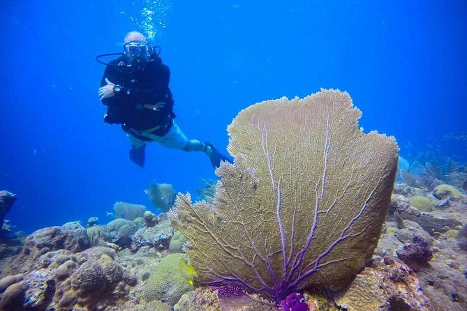Discover Scuba Diving - Confined open water: what pool-like conditions actually mean for you