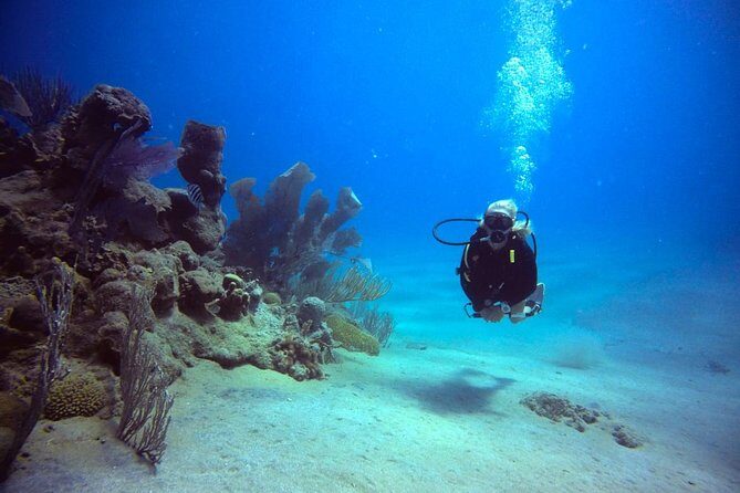 Discover Scuba Diving - The instructor matters: why the coaching here feels personal