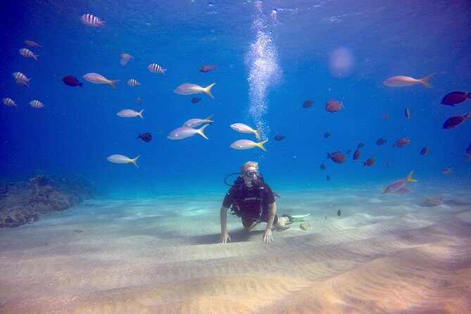 Discover Scuba Diving - How long you’ll be gone and where you start from
