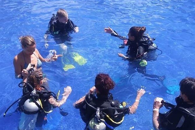 Discover Scuba Diving - DSD - Quick highlights you’ll actually care about
