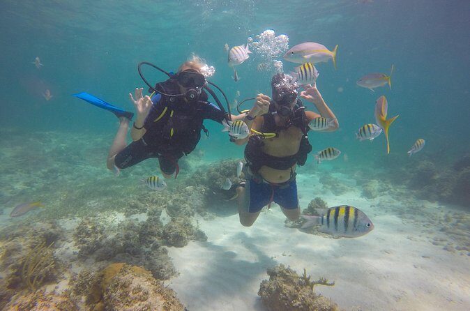 Discover Scuba Diving - DSD - What you’ll see: shipwrecks, reefs, and underwater life