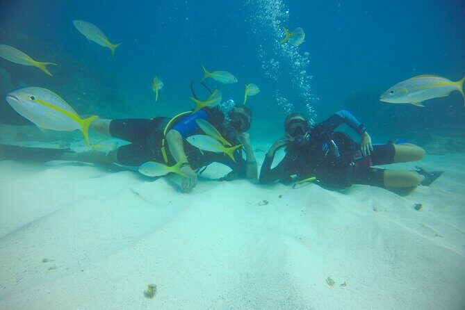 Discover Scuba Diving - DSD - Who this is for (and who should consider alternatives)