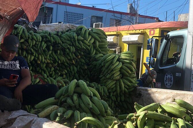 discovery and adventure of the local Dominican life in small group - Sugarcane fields, Haitian village context, and why the stop can hit hard