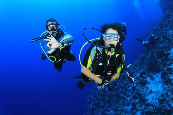 Diving for Certified Divers, 2 Tanks Sosúa Bay - Key points that matter before you book