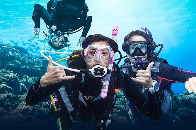 Diving for Certified Divers, 2 Tanks Sosúa Bay - Boat day on Elena with Captain Domingo