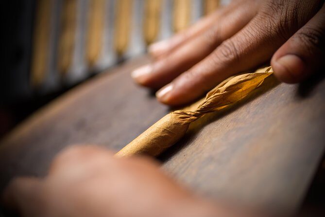 Dominican Cigar Factory Tour - Key things to know before you go