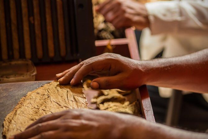 Dominican Cigar Factory Tour - Finding the place: meeting point and how pickup really works