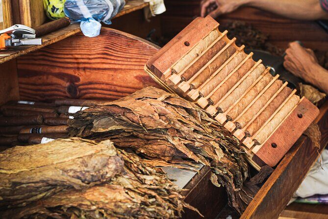 Dominican Cigar Factory Tour - The people part: owner-led hospitality and questions that don’t feel rushed