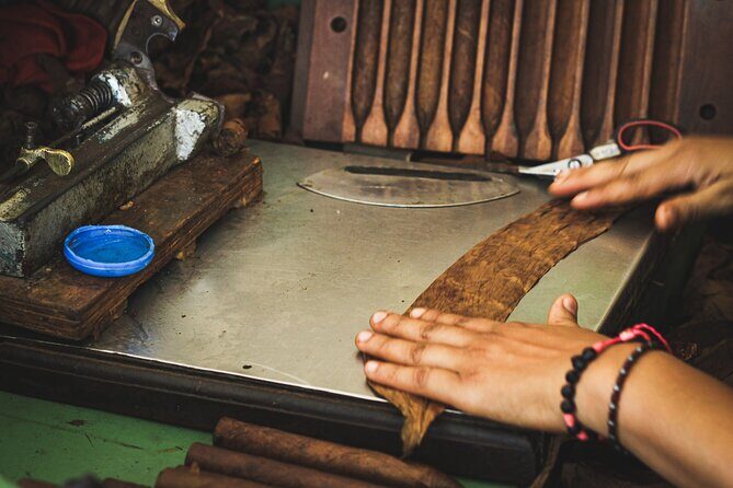 Dominican Cigar Factory Tour - Hands-on rolling: when the tour turns from watching to doing