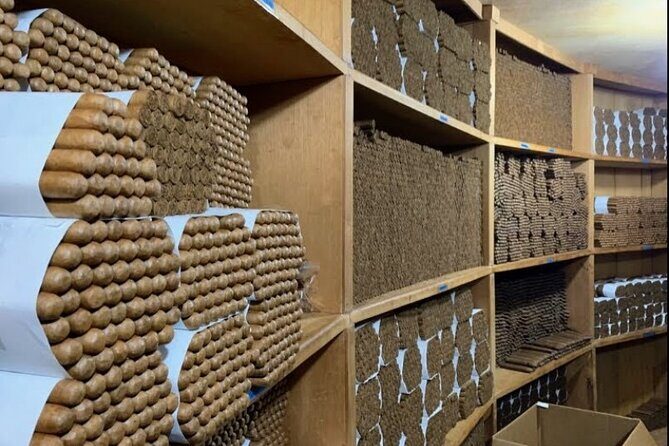 Don Lucas Cigar Factory & Store + Premium Rum Tasting (3 hours) - Rum Bar Tasting: What You Get, What It Costs, and How to Not Overbuy