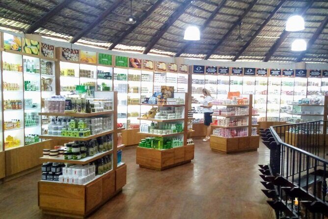 Don Lucas Cigar Factory & Store + Premium Rum Tasting (3 hours) - The Gift Shop Strategy: How to Buy Without Getting “Pressure-Bought”