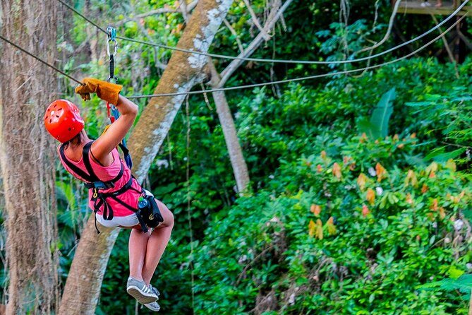 Dual Zipline Side-by-Side Adventure in Punta Cana - The course: 12 cables, rainforest platforms, and how the dual side-by-side part works