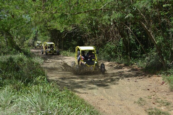 Dune Buggies Adventure - Price and value: $140 per vehicle, up to 2 people