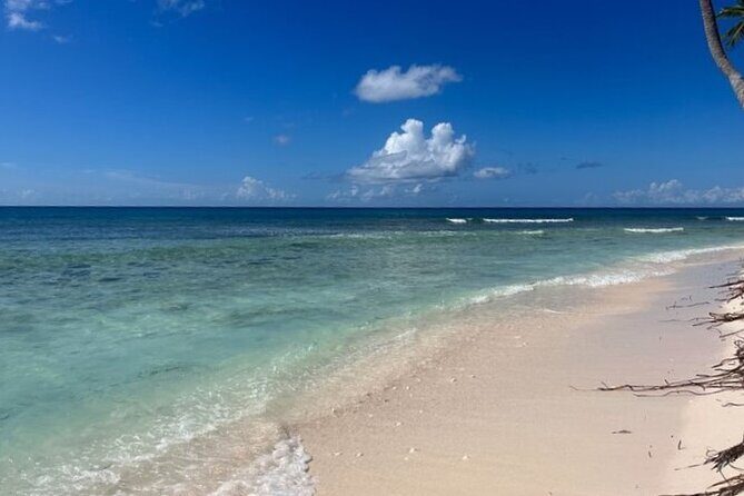 Exclusive Adventure in Saona: Small Group - Natural Pool Starfish Stop: The Clear-Water Moment