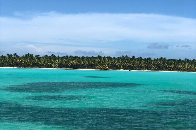 Exclusive Adventure in Saona: Small Group - Price and Value: Is $100 a Good Deal?