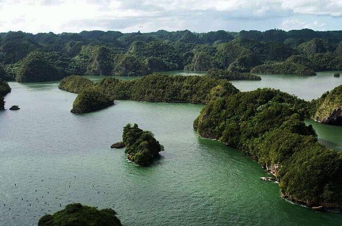 Excursion Los Haitises + Cayo Levantado (Bacardí Island) from Santo Domingo - Who this is best for (and who should rethink it)