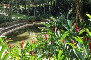 Explore Puerto Plata's Best & Cable Car - Shore Excursion - Historic Puerto Plata in one tight loop: Victorian center and San Felipe Fortress