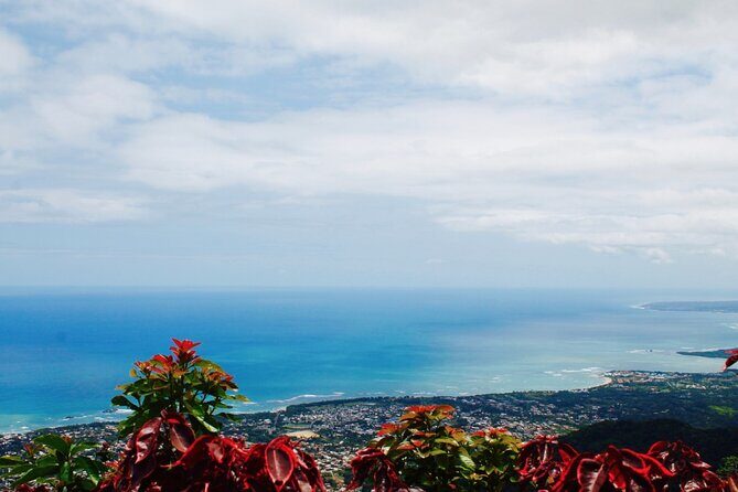 Explore Puerto Plata's Best & Cable Car - Shore Excursion - Should you book Explore Puerto Plata’s Best & Cable Car shore excursion?