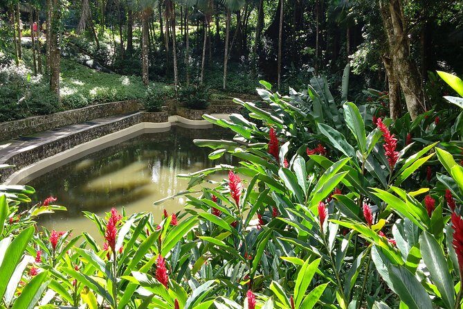 Explore Puerto Plata's Best & Cable Car - Shore Excursion - Historic Puerto Plata in one tight loop: Victorian center and San Felipe Fortress