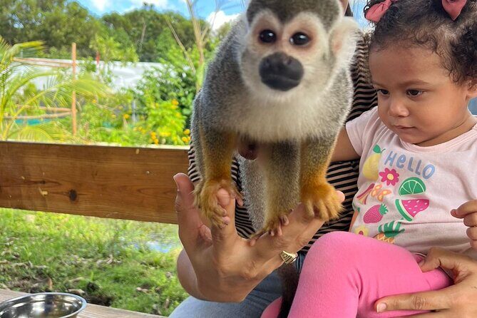 Family ATV Tour & Monkey Private Van - What to bring so the day stays fun (not annoying)