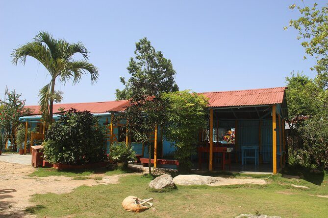Family Buggy Adventure in Punta Cana - Bedrock City and the Flinstones theme: playful fun with big scenery