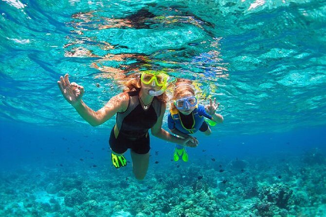 Family Snorkeling Adventure Punta Cana - Key Highlights You’ll Actually Care About