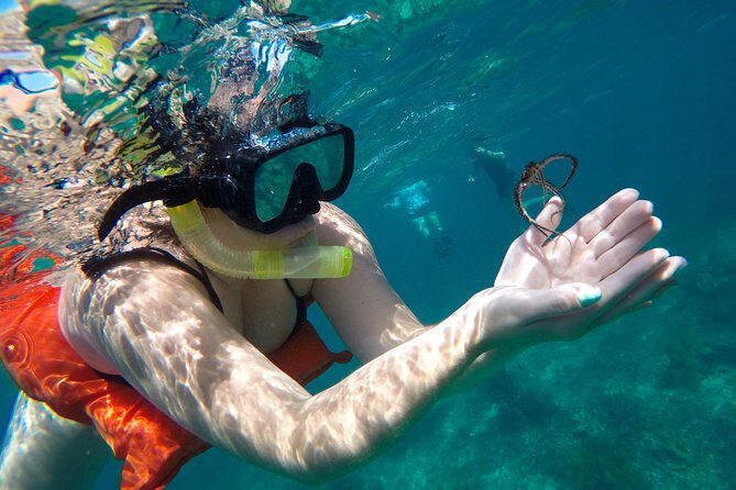 Family Snorkeling Adventure Punta Cana - What You’re Signing Up For in a 3-Hour Window