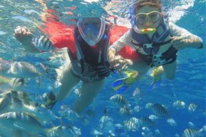 Family Snorkeling Adventure Punta Cana - Price and Value: How $75 Really Breaks Down